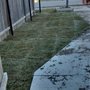 Photo of Sod Man Lawn Installations