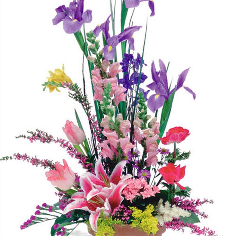 Allyson's Flowers - This is what I ordered - Florists Near Me - Westlake, Ohio