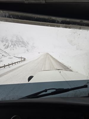 BAI Environmental Services