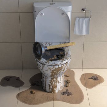Taco Bell - My toilet after the shit I took - Fast Food Near Me - La Porte, Indiana Taco Bell - My toilet after the shit I took - Fast Food Near Me - La Porte, Indiana