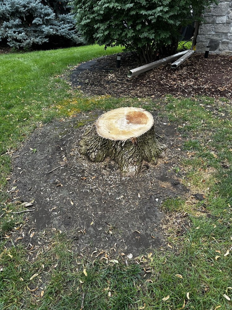 Monster Tree Service of Sarpy County - tree service in Omaha, NE