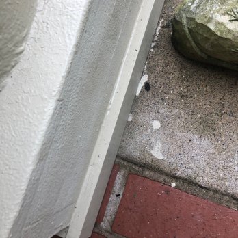 Sanel's Home Services - Paint left on concrete and brick - Handyman Near Me - Burlington, Kentucky