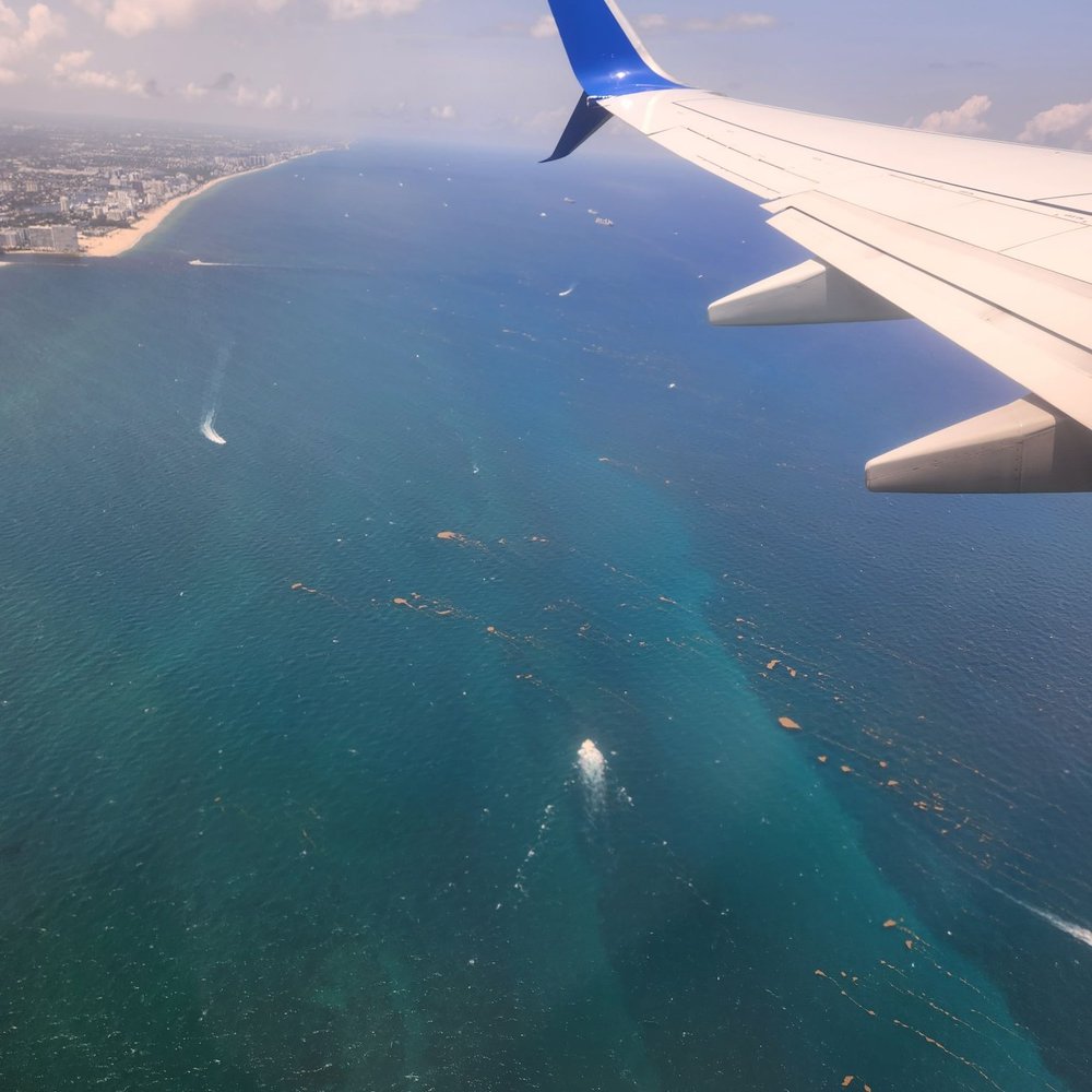 United Airlines - The Ocean looked dirty. - Airlines Near Me - Dulles, Virginia United Airlines - The Ocean looked dirty. - Airlines Near Me - Dulles, Virginia