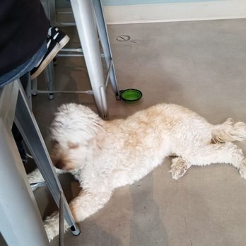 Fair Winds Brewing - Love when the dogs are here. - Breweries Near Me - Lorton, Virginia Fair Winds Brewing - Love when the dogs are here. - Breweries Near Me - Lorton, Virginia