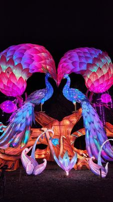 Four Mile Historic Park by null