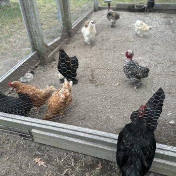 Greenbrier Farms - Nurseries & Gardening Near Me - Chesapeake, Virginia