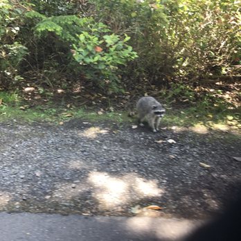 Five Mile Drive - Parks Near Me - Tacoma, Washington