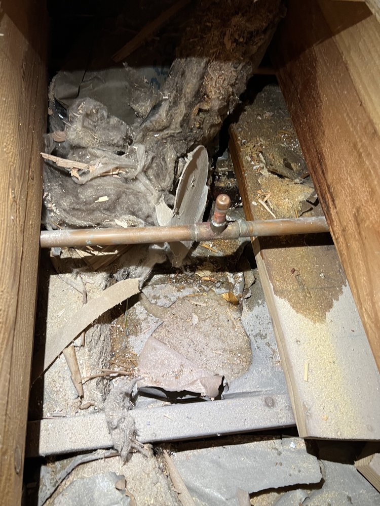 Slide of Family Drain Cleaning