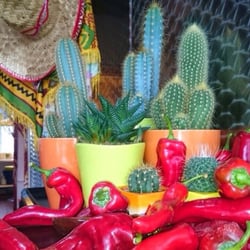 Elpaso Mexican TakeAway