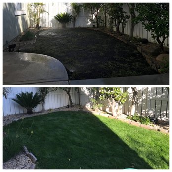 Perez Lawn Care - Successful seed growth and maintenance. - Landscaping Near Me Perez Lawn Care - Successful seed growth and maintenance. - Landscaping Near Me