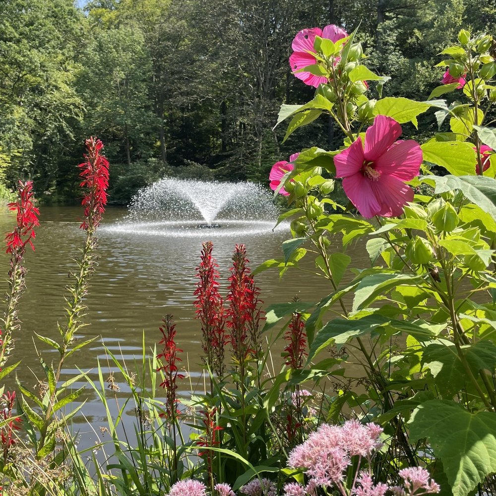 Leonard J Buck Garden - Fountain on the Lower Pond - Parks Near Me - Far Hills, New Jersey Leonard J Buck Garden - Fountain on the Lower Pond - Parks Near Me - Far Hills, New Jersey