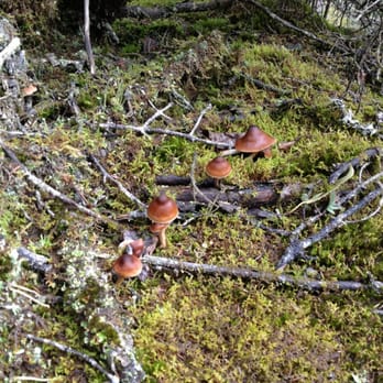 Packer Expeditions - Denver Valley hike 9.10.13 - VN - Tours Near Me - Skagway, Alaska Packer Expeditions - Denver Valley hike 9.10.13 - VN - Tours Near Me - Skagway, Alaska