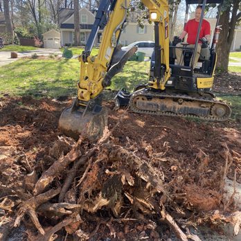 Queen City Improvements - excavator removing tree roots - Landscaping Near Me Queen City Improvements - excavator removing tree roots - Landscaping Near Me