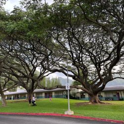 Manoa Elementary School - Windy and cool in Manoa Valley