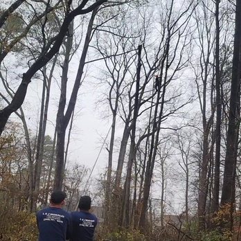L&J Morales Tree Service Landscaping - two men standing in the woods - Tree Services Near Me - Edgewater, Maryland L&J Morales Tree Service Landscaping - two men standing in the woods - Tree Services Near Me - Edgewater, Maryland