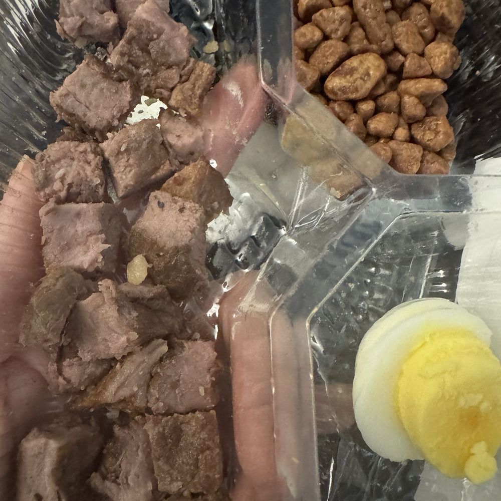Salad and Go - Snack Pack - half eaten lol - Salad Near Me - Las Vegas, Nevada Salad and Go - Snack Pack - half eaten lol - Salad Near Me - Las Vegas, Nevada