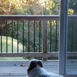 Doe Run Lodge Resort & Conference Center - My dogs loved to look out window