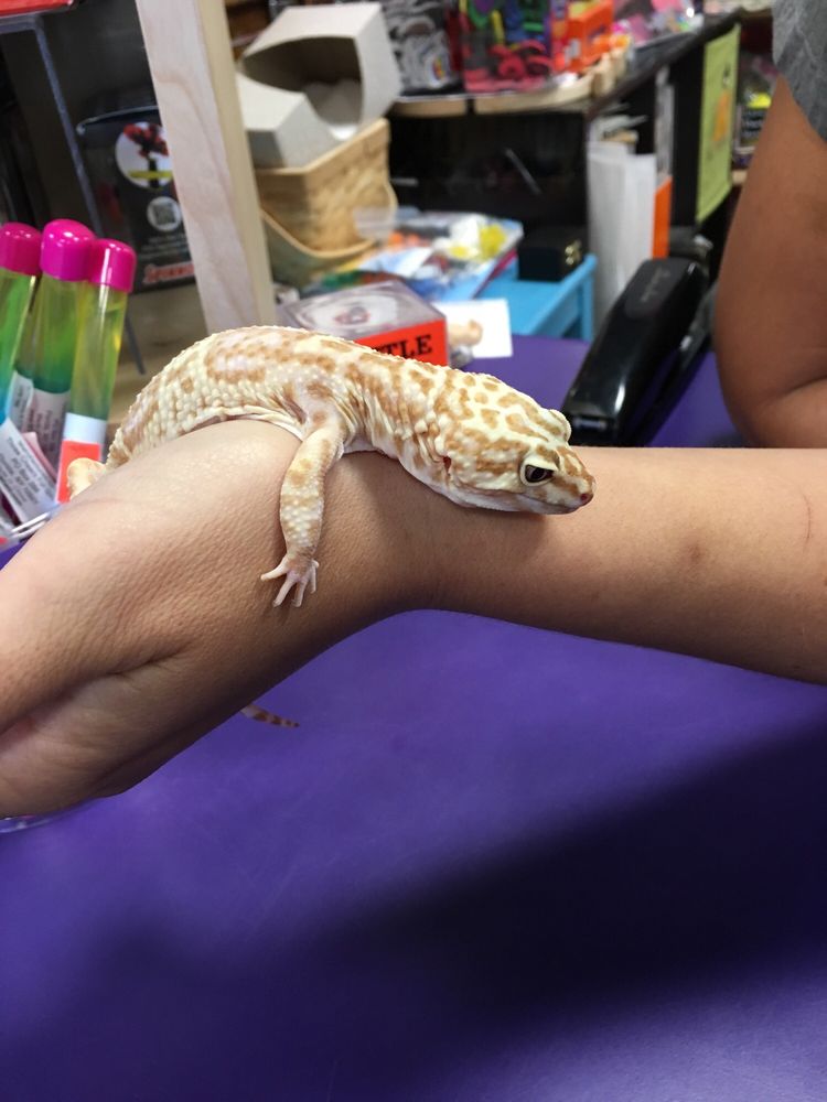 HAPPY UP 14 Photos 6654A Edwardsville Crossing Dr, Edwardsville, Illinois Toy Stores