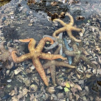 Icy Strait Point - Travel Services Near Me - Hoonah, Alaska