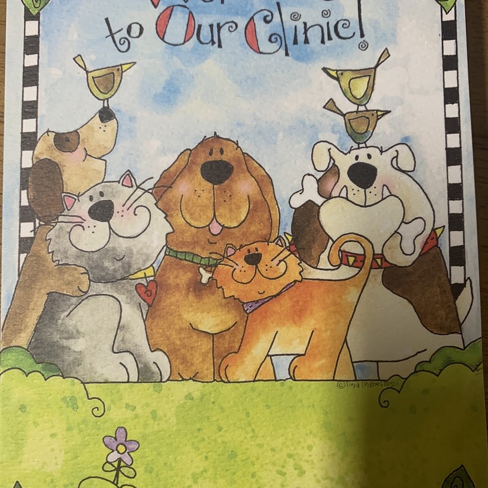 Cherry Creek Veterinary Hospital - Get Well card from staff - Veterinarians Near Me - Antelope, California Cherry Creek Veterinary Hospital - Get Well card from staff - Veterinarians Near Me - Antelope, California