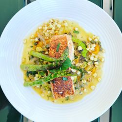 Celeste Gross - Salmon lunch