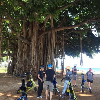 Aloha Trikke - Tours Near Me - Honolulu, Hawaii
