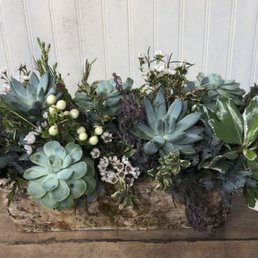 English Garden by BloomNation