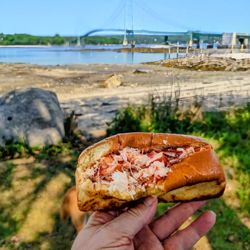 LDI Lobster