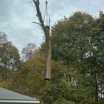 New England Tree Masters - Tree Services Near Me - Boxborough, Massachusetts