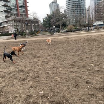 Coopers' Park - Dog Parks Near Me - Vancouver, British Columbia Coopers' Park - Dog Parks Near Me - Vancouver, British Columbia