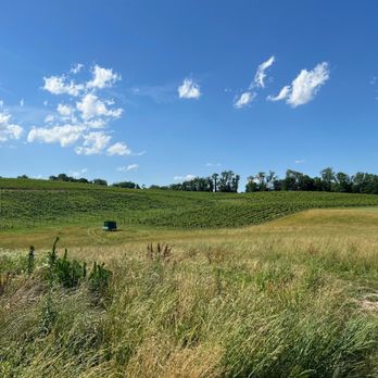 Black Ankle Vineyards - Vineyard acres - Wineries Near Me - Mount Airy, Maryland Black Ankle Vineyards - Vineyard acres - Wineries Near Me - Mount Airy, Maryland