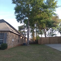 T & D Professional Tree Removal - Before
