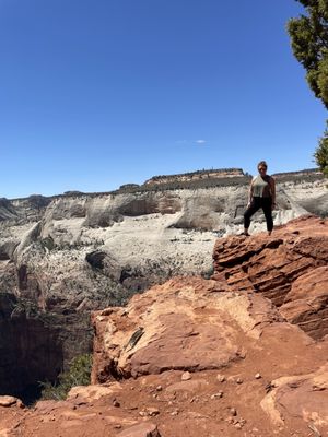 Observation Point by null