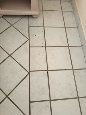 Posada Real Los Cabos by null