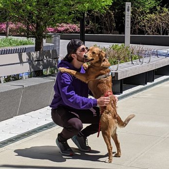 Say It Once Dog Training - Ellie with Vinnie during her training session - Pet Training Near Me - New Kensington, Pennsylvania Say It Once Dog Training - Ellie with Vinnie during her training session - Pet Training Near Me - New Kensington, Pennsylvania