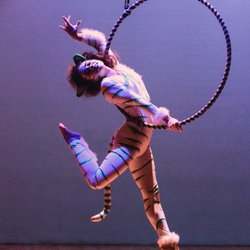 Host Of Sparrows Aerial Dance & Circus Arts - The Tiger in the Hoop! Host of Sparrows showcase!