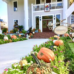 Kim's Home and Garden Center - Fall at the Farm begins October 1 st.  Join us for the best pumpkin patch in Texas, scare crow contest, artist walks, wine tastings & more.