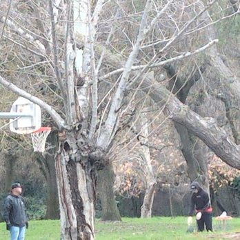 Reichmuth Park - Bball court, well it's a half court.. - Parks Near Me - Sacramento, California Reichmuth Park - Bball court, well it's a half court.. - Parks Near Me - Sacramento, California