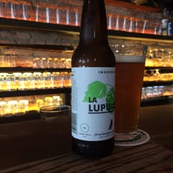 El Grillo - Insurgentes La Lupulosa