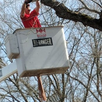 Timberlimb Tree Service - Tree Services Near Me Timberlimb Tree Service - Tree Services Near Me