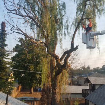 Brett's Tree Service - Tree Services Near Me Brett's Tree Service - Tree Services Near Me