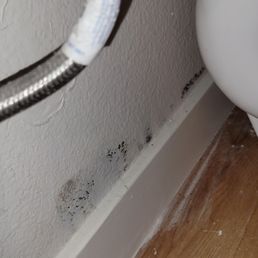 Apt 412 mold from leak that "wasn't" mold according to apartment management Apt 412 mold from leak that "wasn't" mold according to apartment management