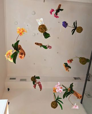 GREEN ZEBRA CAFE by null