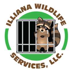 Illiana Wildlife service