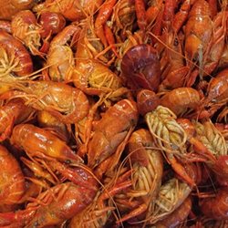 Red Barn Cajun Crawfish & Seafood Market - 3 pounds of seasoned crawfish