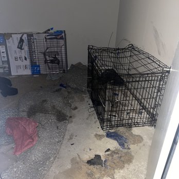 One Tail at a Time - The destructive behavior cause by leaving the dog alone for the span of a hour. - Animal Shelters Near Me - Chicago, Illinois