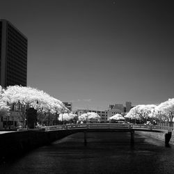 Life Pixel Infared - 830nm ISO100, 1/200, f/1.8