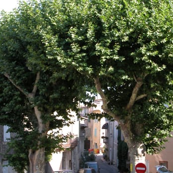 Village de Saignon - Landmarks & Historical Buildings Near Me
