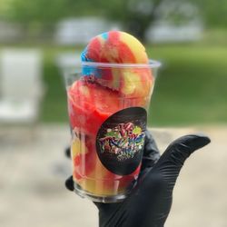 T&C PhillyStyle - Tropical Rainbow