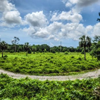 Fern Forest Nature Center - Parks Near Me - Coconut Creek, Florida